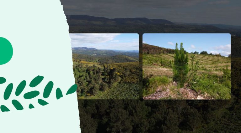 Blog-bosques-de-Borela-y-Carballedo